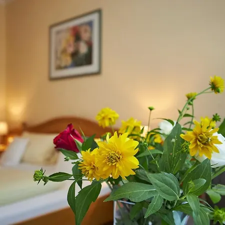 Flairhotel Hubertus Бад-Цвишенан