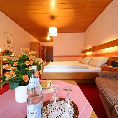 Flairhotel Hubertus 4*