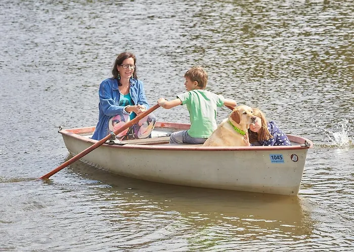 Отель Flairhotel Hubertus Бад-Цвишенан