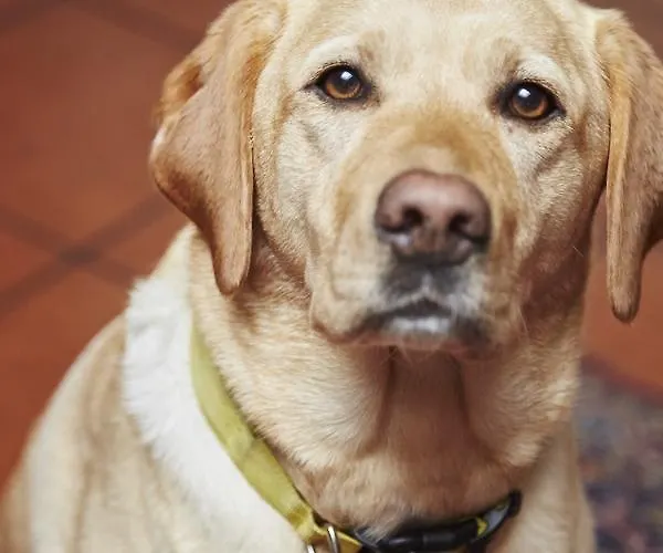 Отель Flairhotel Hubertus